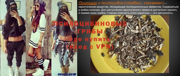 PSILOCYBIN Балабаново