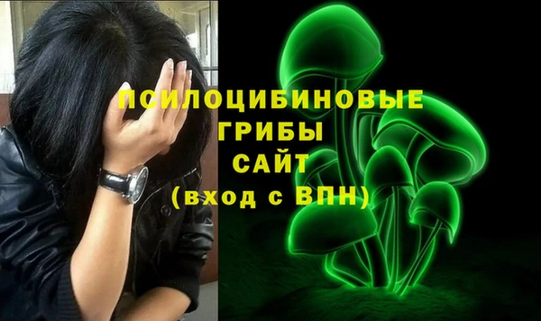 PSILOCYBIN Балабаново