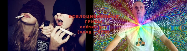 PSILOCYBIN Балабаново