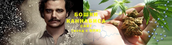 PSILOCYBIN Балабаново